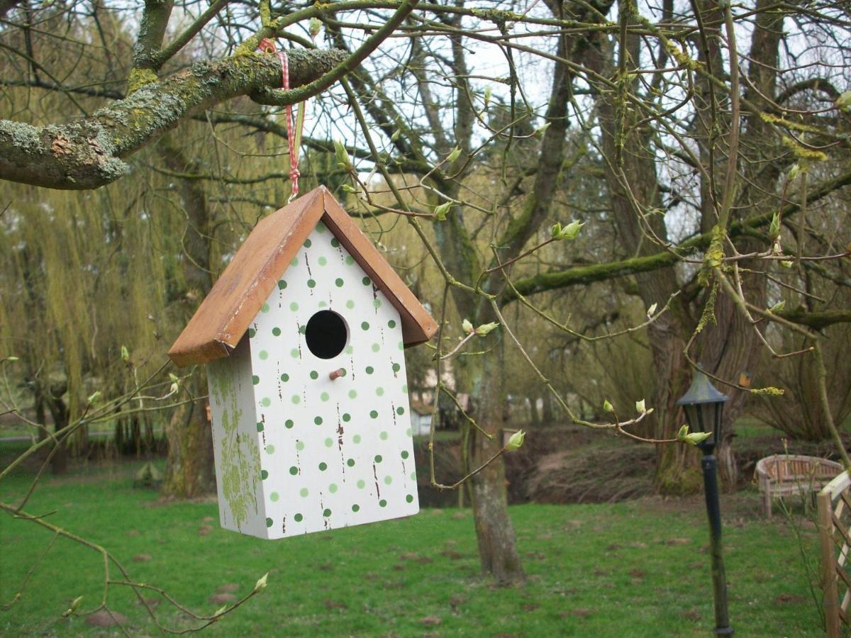 Moulin De Moxhe Micro Gite Et Gite - Bed & Dreams 外观 照片